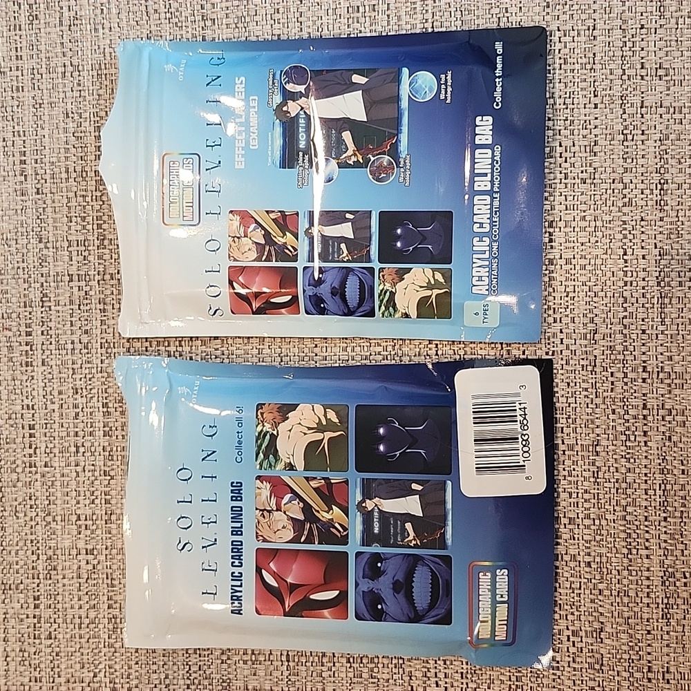 Solo Leveling Collectible Card Cha Hae-In
